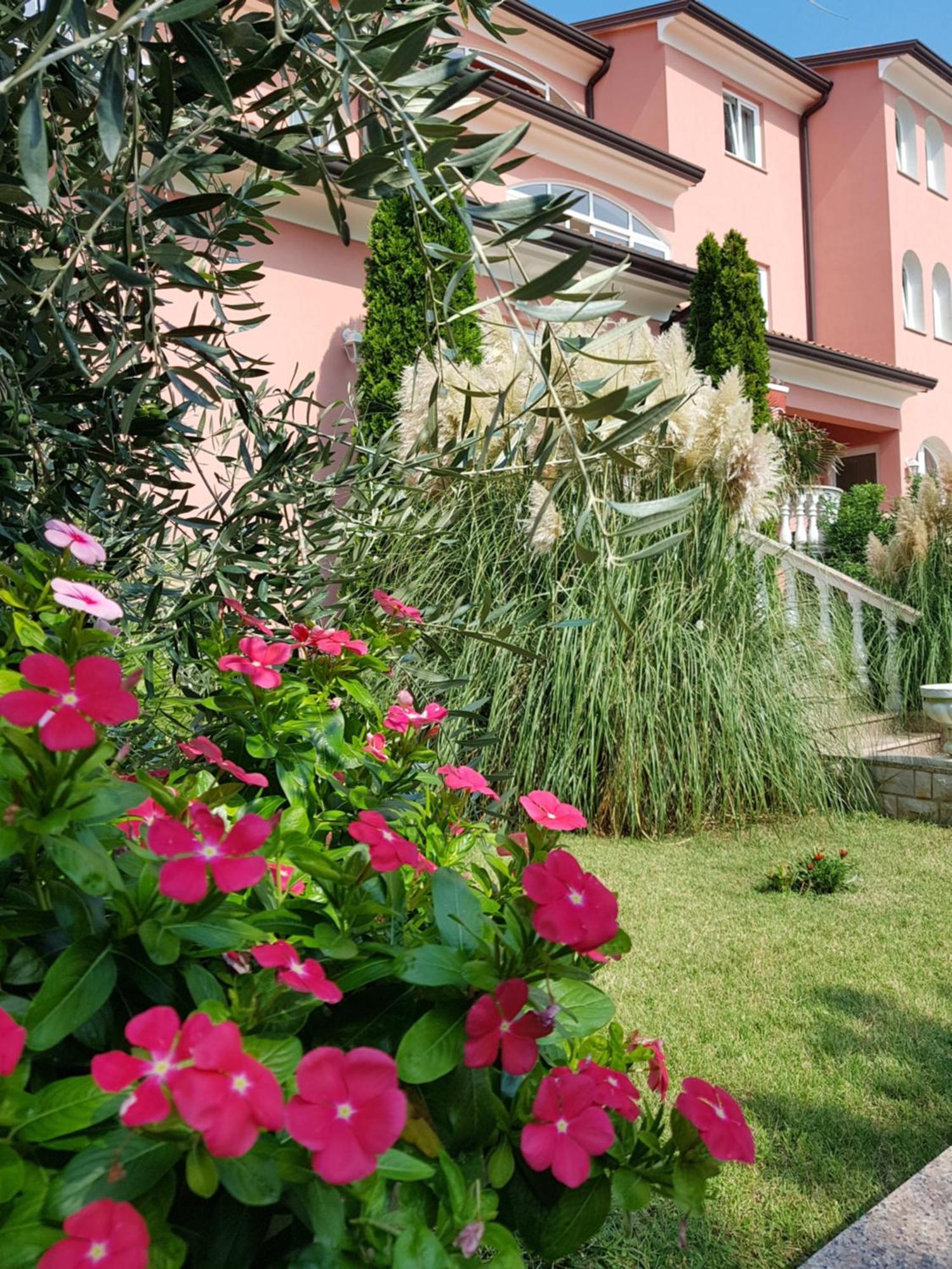 Apartments And Rooms Villa Chiara クルニカ エクステリア 写真