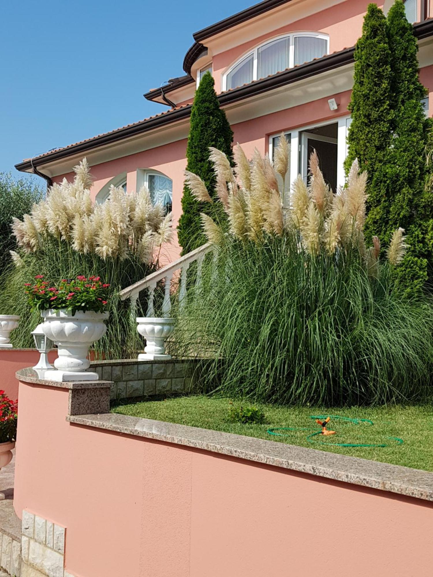 Apartments And Rooms Villa Chiara クルニカ エクステリア 写真