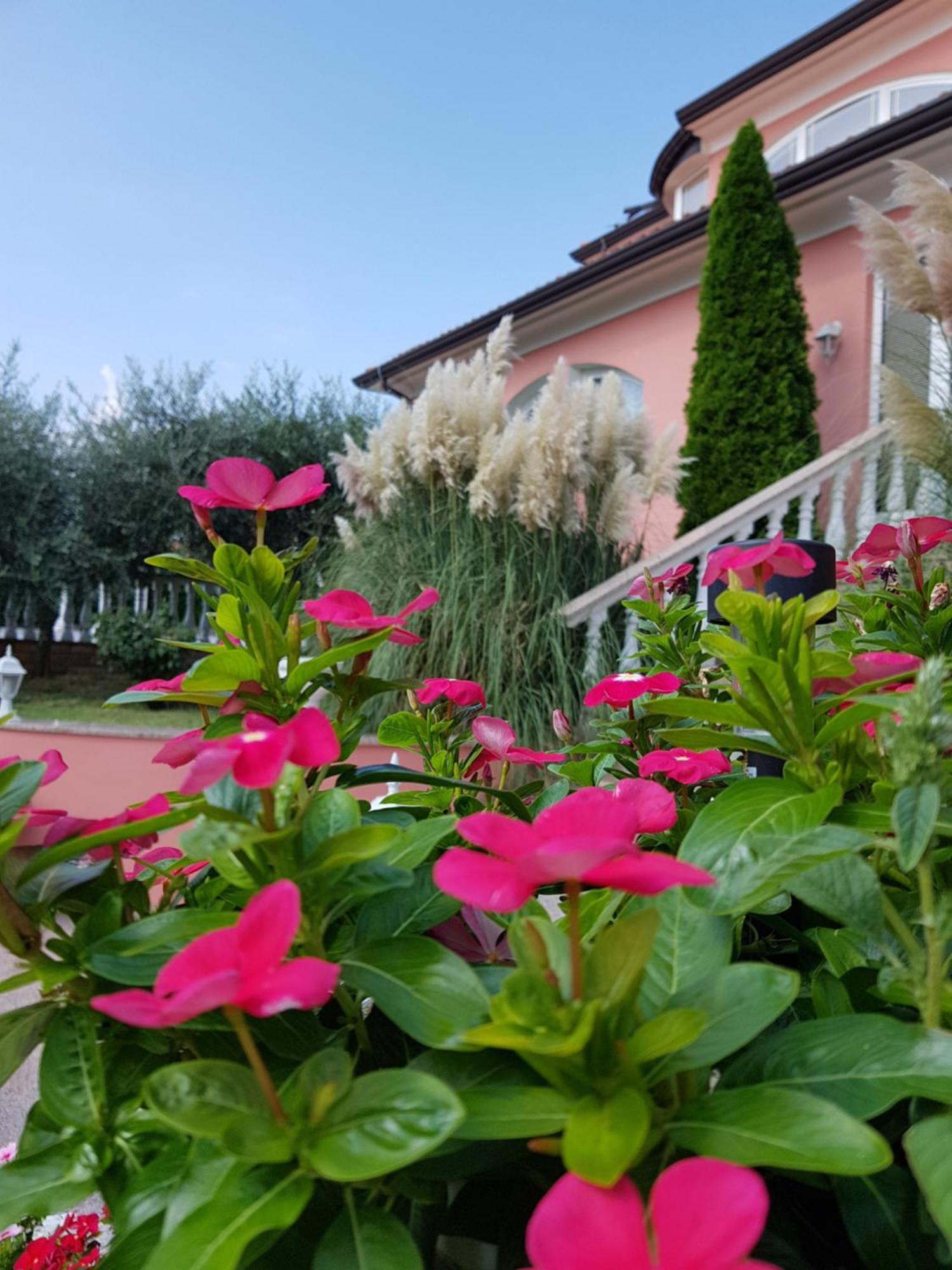 Apartments And Rooms Villa Chiara クルニカ エクステリア 写真