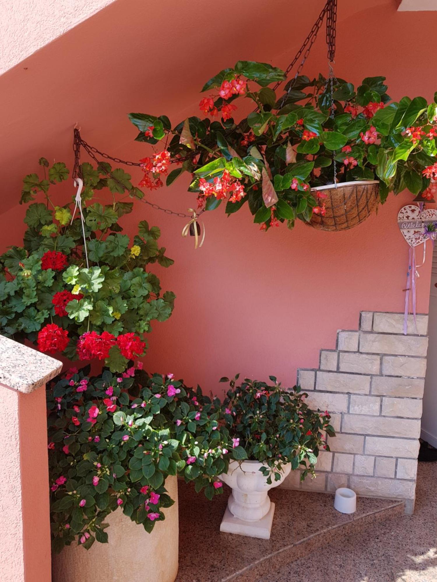 Apartments And Rooms Villa Chiara クルニカ エクステリア 写真