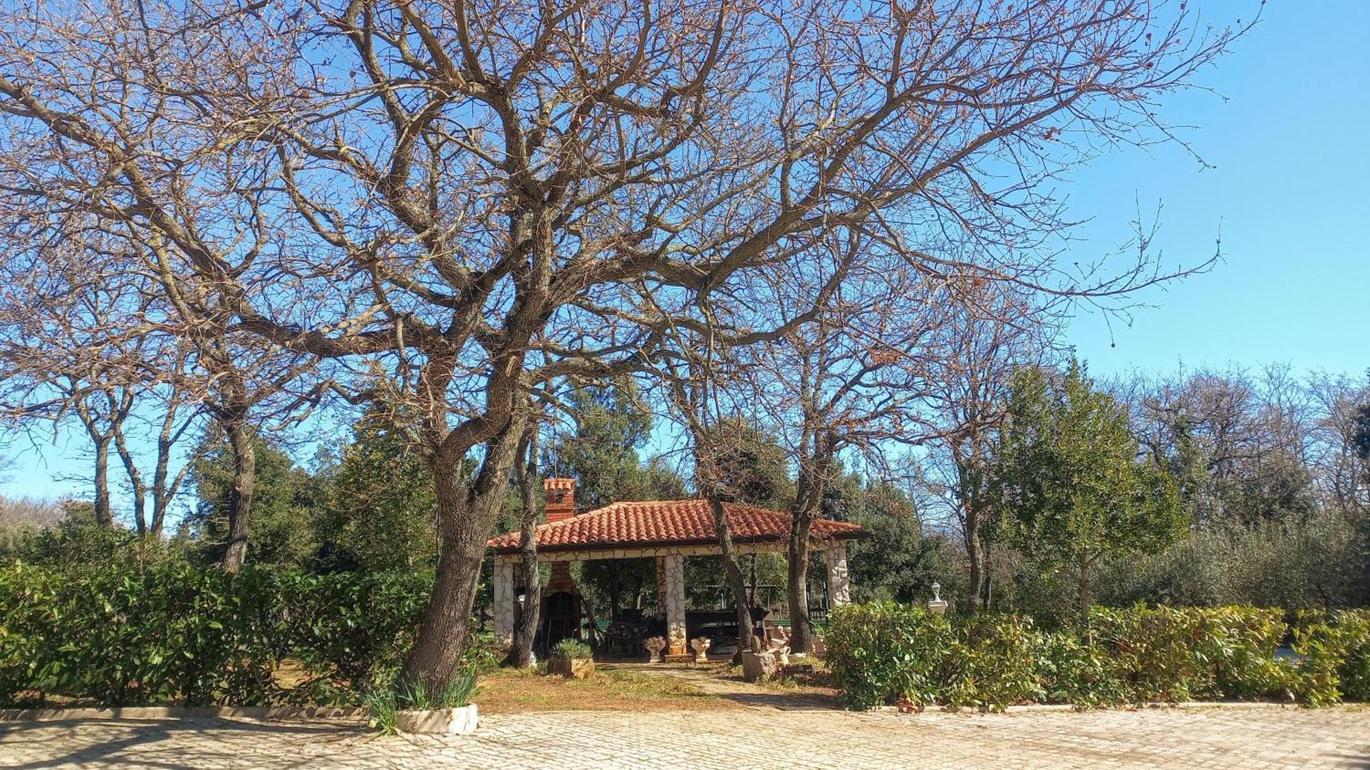 Apartments And Rooms Villa Chiara クルニカ エクステリア 写真